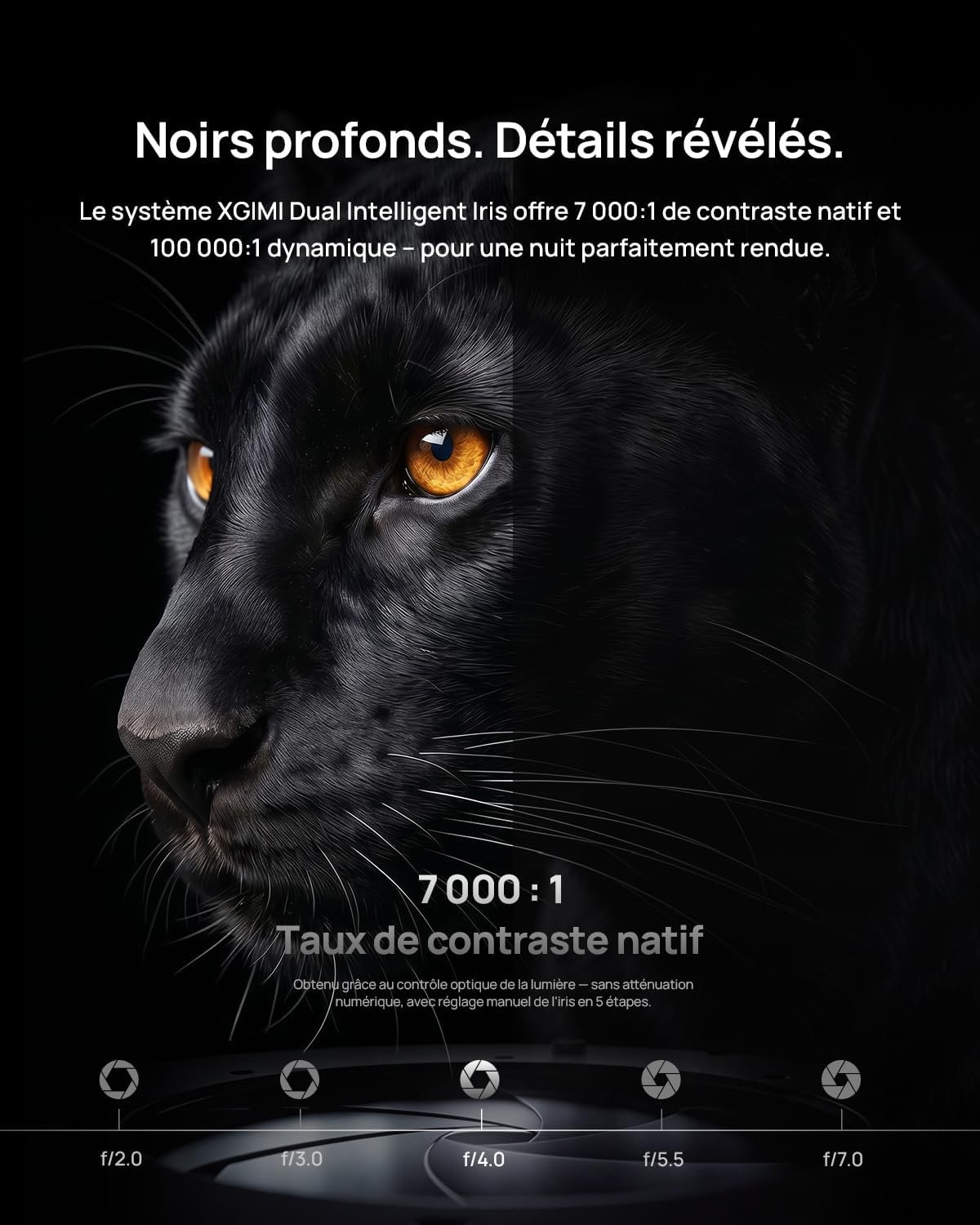 Visuel officiel XGIMI TITAN Noir : panthère noire en clair-obscur illustrant le contraste natif 7000:1 du double iris, avec les 5 réglages d'ouverture f/2.0, f/3.0, f/4.0, f/5.5 et f/7.0